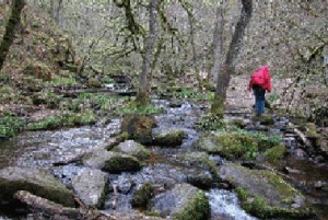 Paris to the Pyrenees, Burgundy, David Downie, Alison Harris, pilgrimage